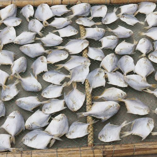 8成干 鲳鱼干海鲜干货海鱼银鲳扁平鱼海鲜类海产品腌制咸鱼干 鲳鱼干