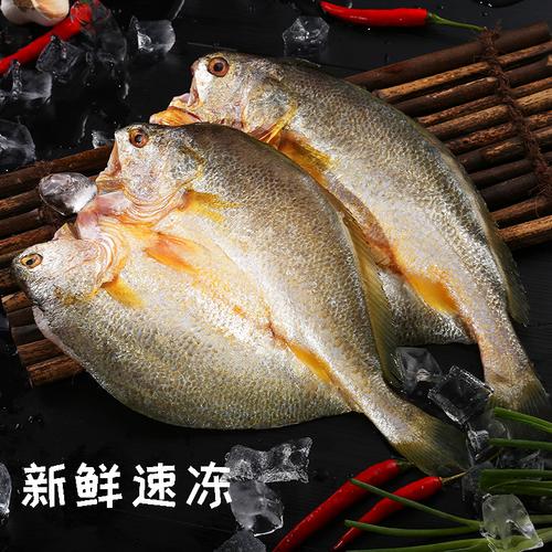 新鲜当天打捞大条黄花鱼冷冻海鱼半野生海产生鲜烧烤免杀黄鱼3只