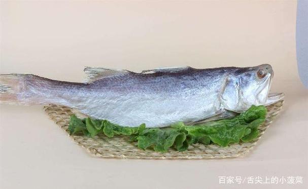 此鱼没有名气却营养价值非常高最好吃的海鱼在我国呦